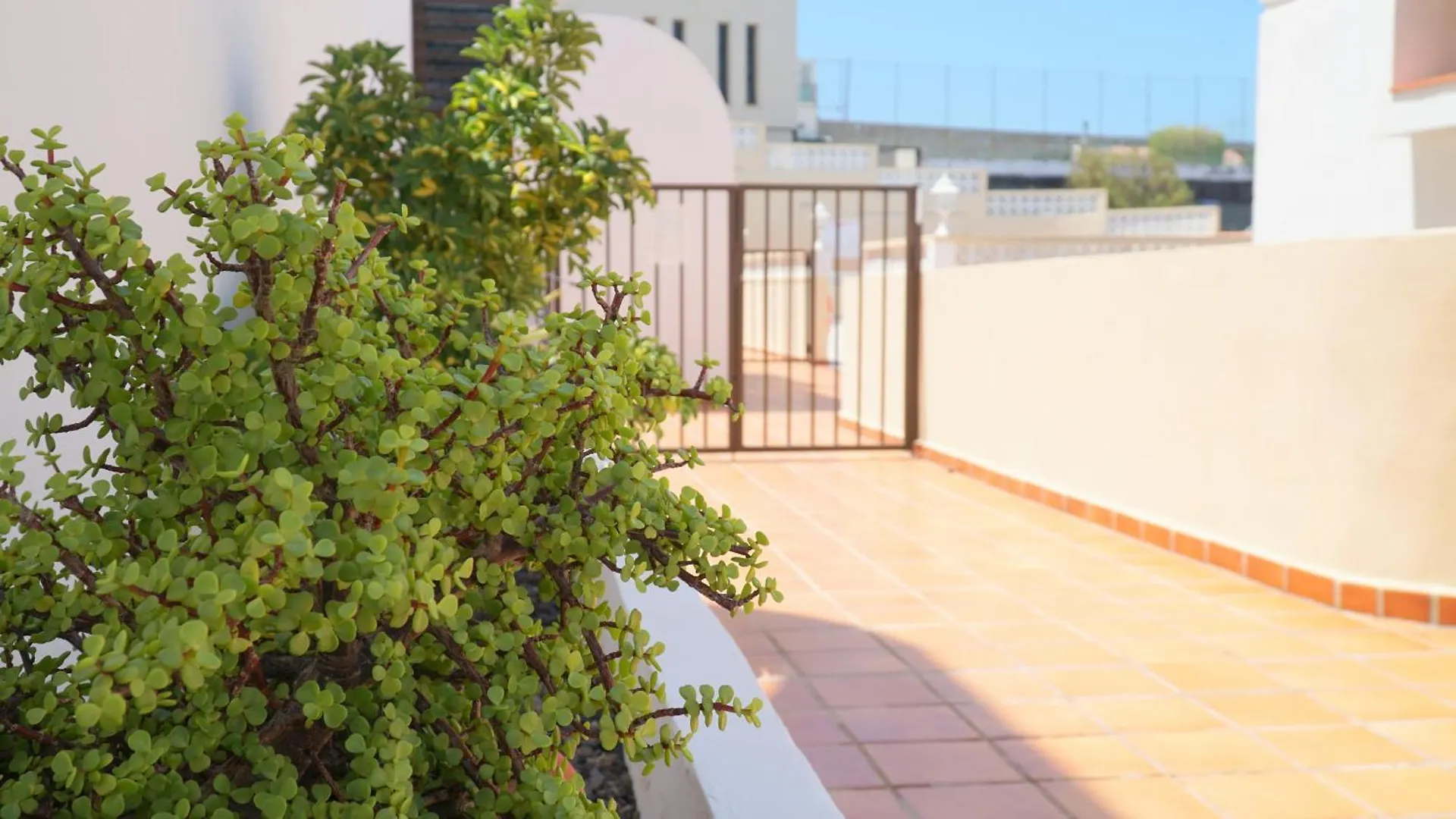 Apartment Edith - Complex Tagara, Fully Equipped, Ac And Pool Puerto de Santiago  0*, Puerto de Santiago (Tenerife)